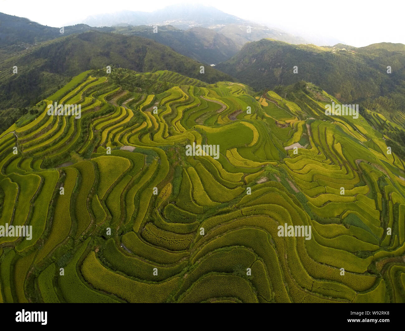 Une vue aérienne de champs en terrasses, un populaire pour la photographie vue fans et touristes dans Xiaozhoushan county, Shanghai, Chine de l'est la province du Zhejiang, 12 Banque D'Images