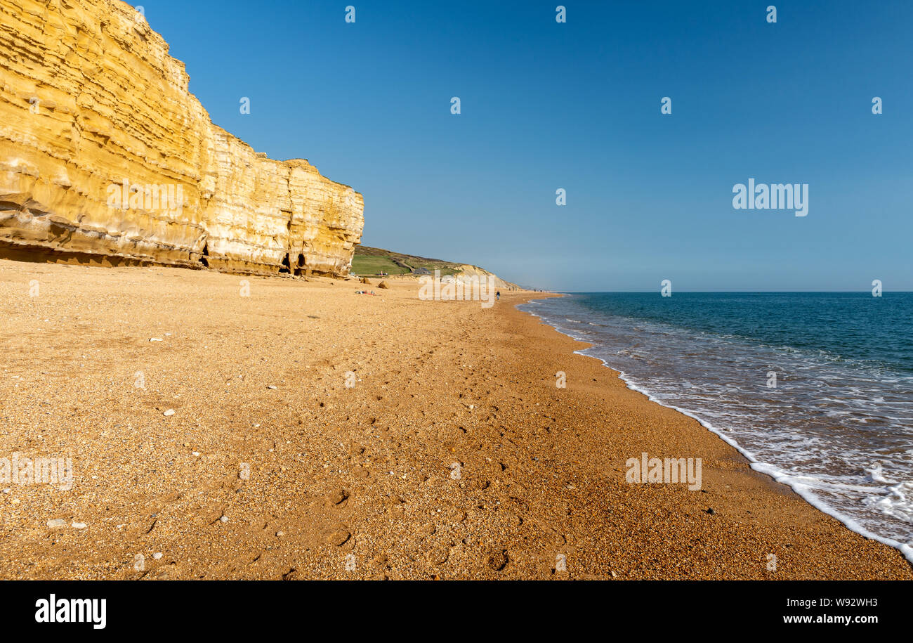 Le soleil brille sur la plage de galets de ruche, une partie de plage de Chesil, sous les falaises de grès de Burton Bradstock sur la côte jurassique du Dorset. Banque D'Images