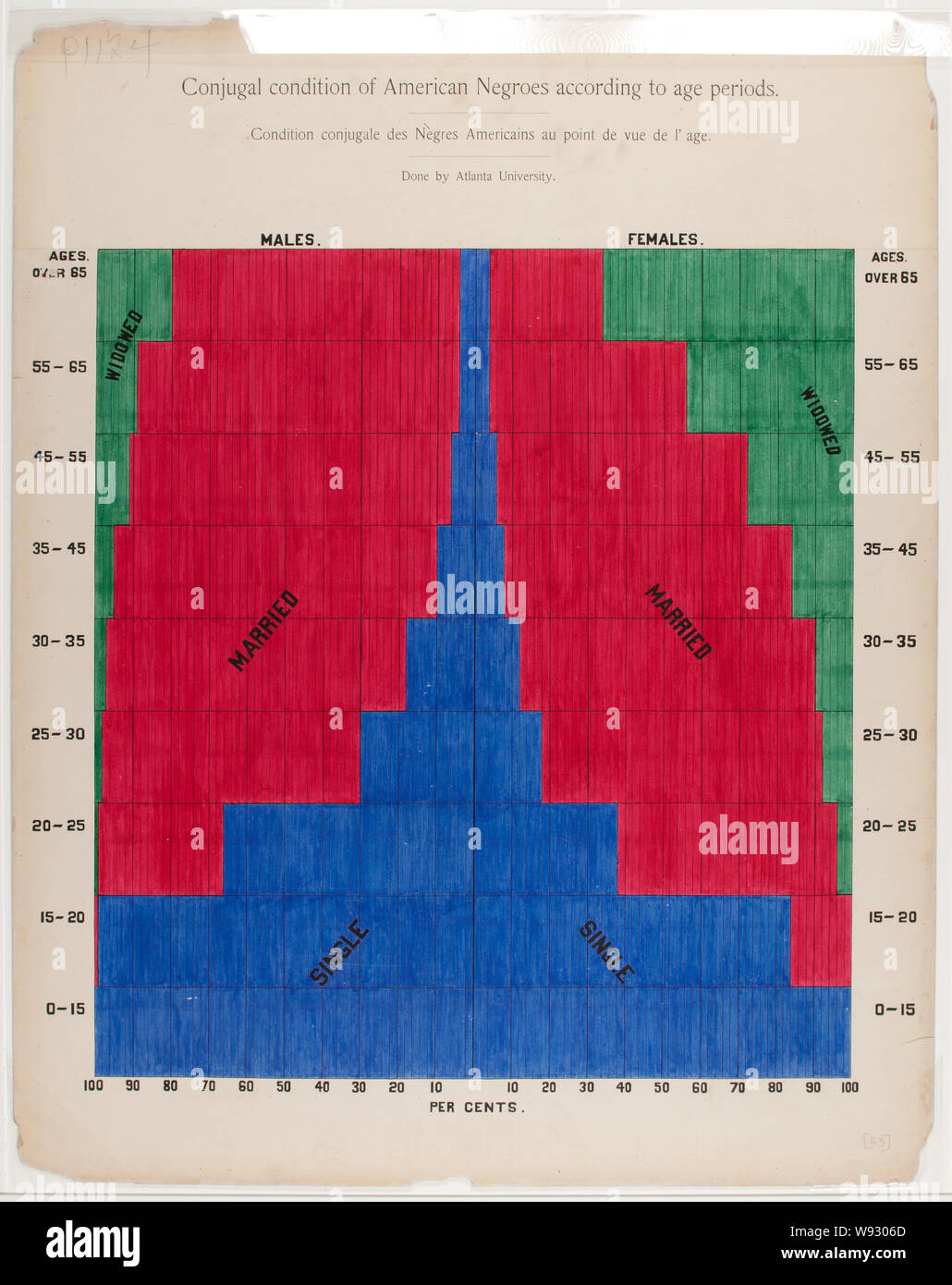 Une série de tableaux statistiques qui illustrent l'état des descendants d'anciens esclaves africains actuellement en résidence aux États-Unis d'Amérique Résumé : La ligne graphique présente le pourcentage des hommes africains-américains et les femmes qui sont célibataires, mariées ou veuves, par l'âge. Banque D'Images