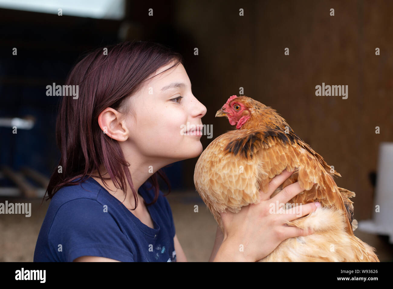 Girl face à face avec poule dans poulailler Banque D'Images