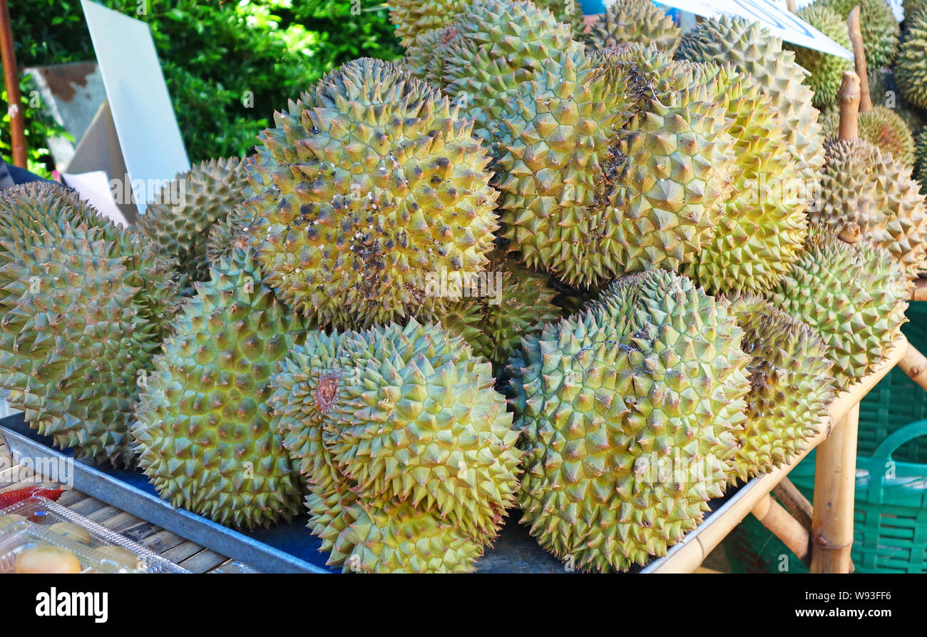Durian fruit sur la durée du marché Le marché en Thaïlande Banque D'Images