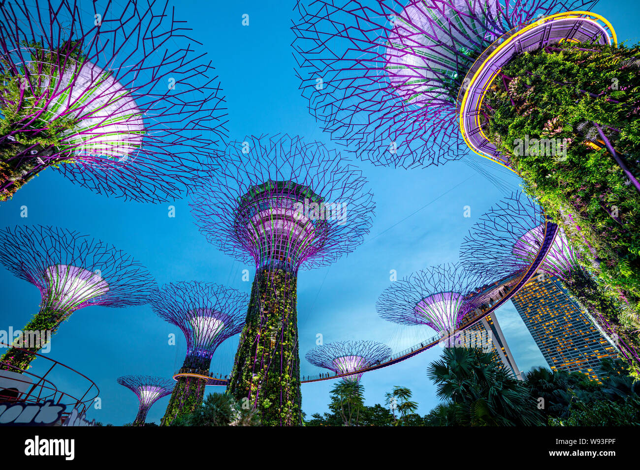 Singapour, Singapour - 7 juin 2019 : upertree de jardins par la baie de Singapour de nuit Banque D'Images