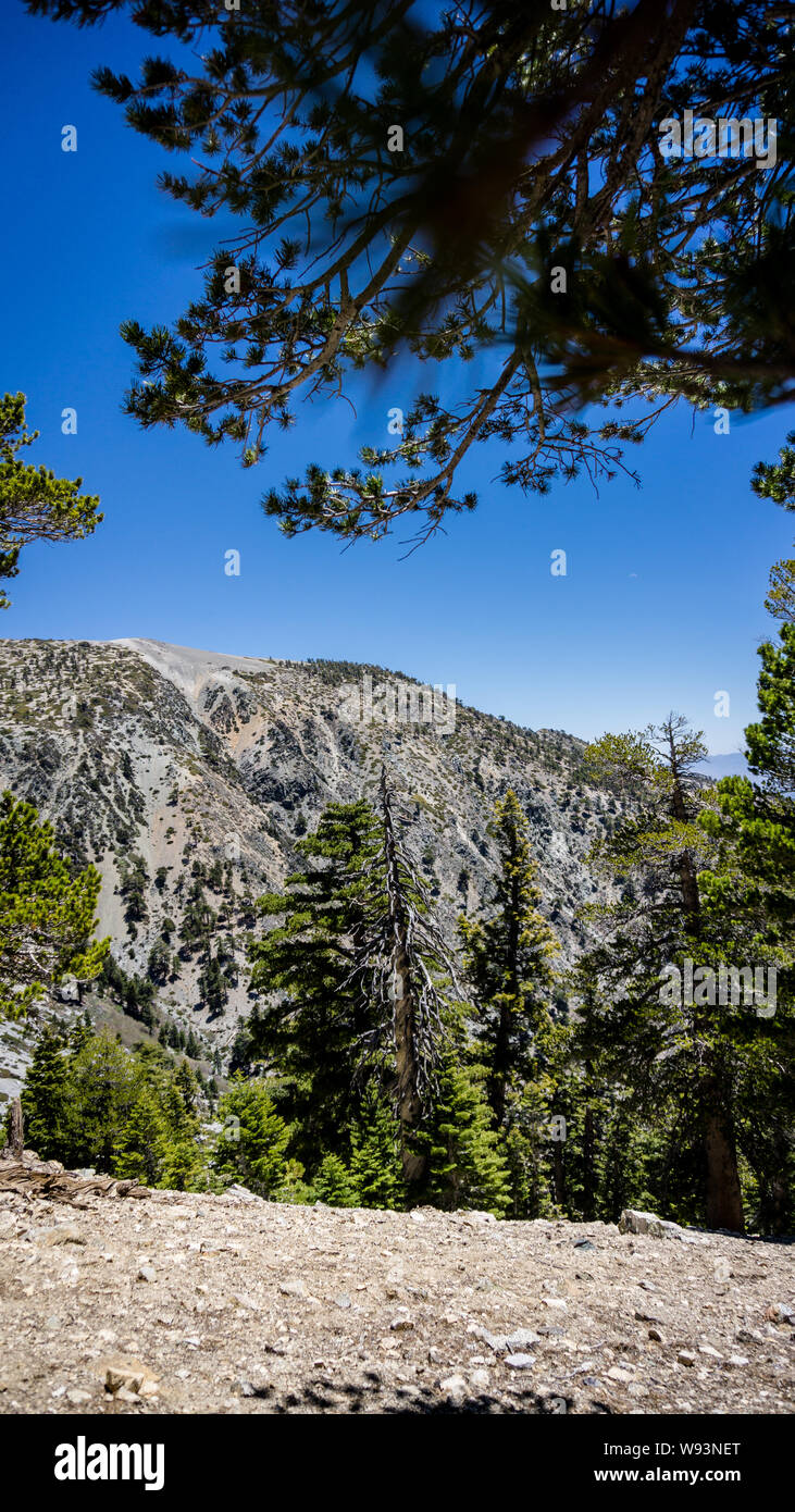 Sur le chemin de la via le sommet du mont Baldy Baldy Bol trail, USA Banque D'Images