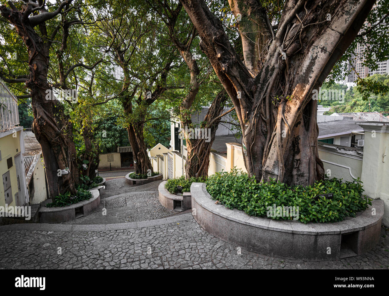 Calcada do Carmo style colonial portugais alley dans le vieux quartier de Taipa Macau Chine Banque D'Images