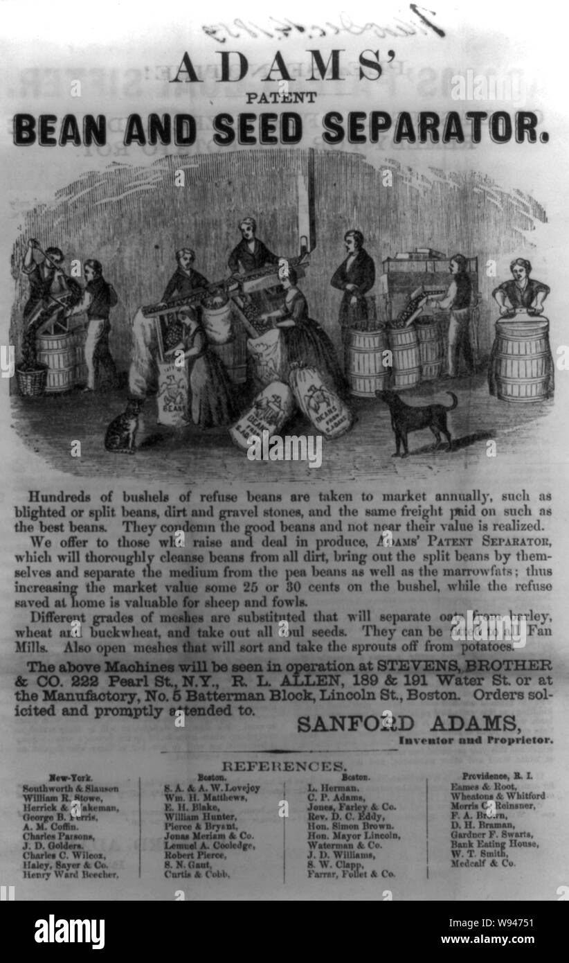 Adams et séparateur de semences de haricots de brevets Banque D'Images