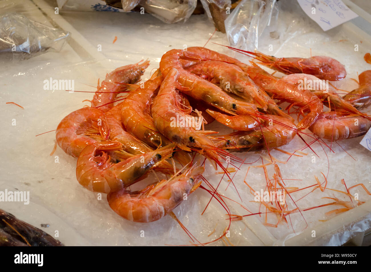 Crevettes fraîches sur la glace en marché aux poissons de Catane. Célèbre Marché de poissons frais d'occupation de Catane Banque D'Images