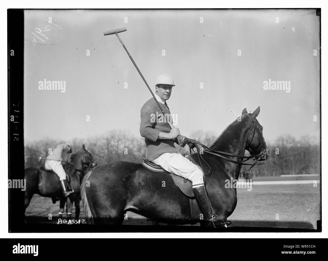 Agassiz Banque D'Images