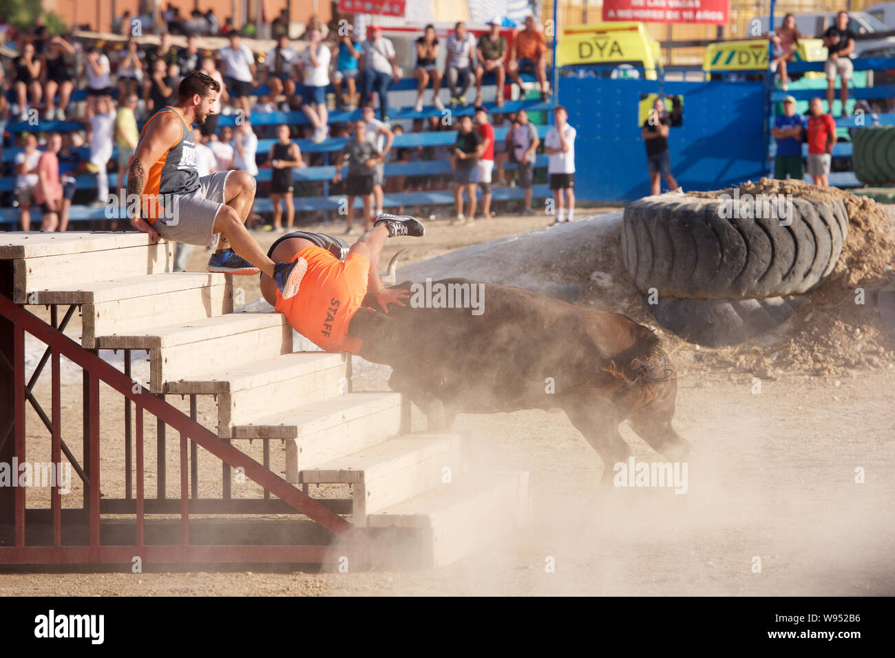 Bull s'attaquer à un homme à l'intérieur d'une arène de bull Banque D'Images