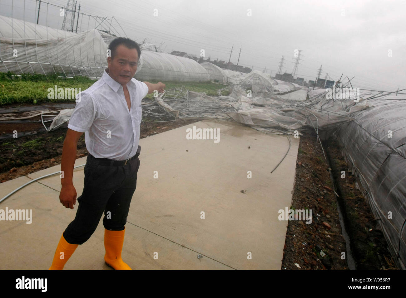 Un agriculteur s'élève face à ses cabanes végétales détruites par fort vent causé par le typhon Haikui à Shanghai, Chine, le 8 août 2012. La troisième tropi Banque D'Images