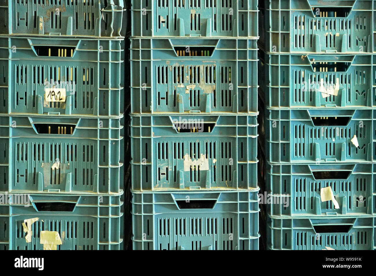 Pile de valises de transport en plastique, vue de face Banque D'Images