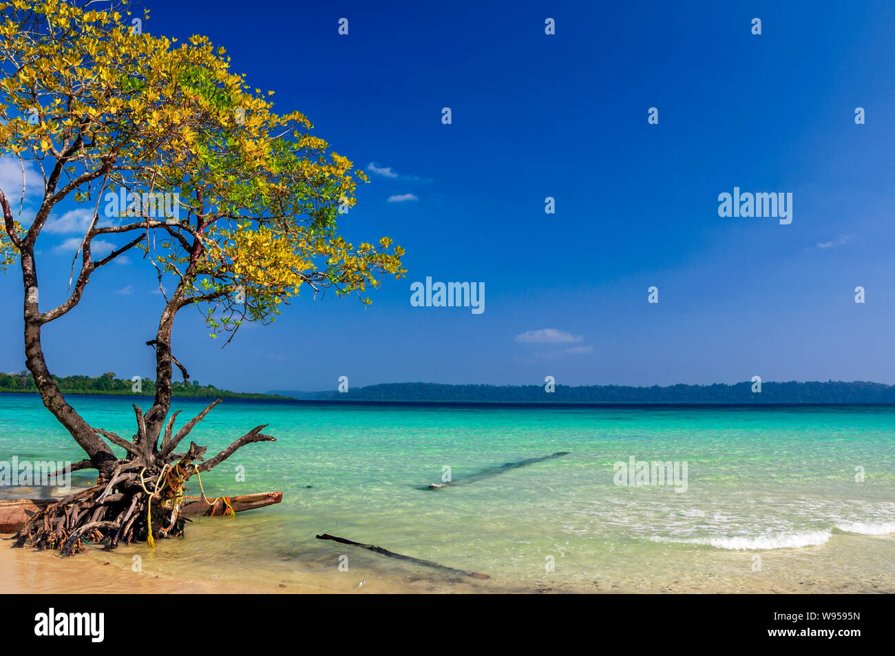 Havelock island, Andaman et Nicobar, Inde Banque D'Images