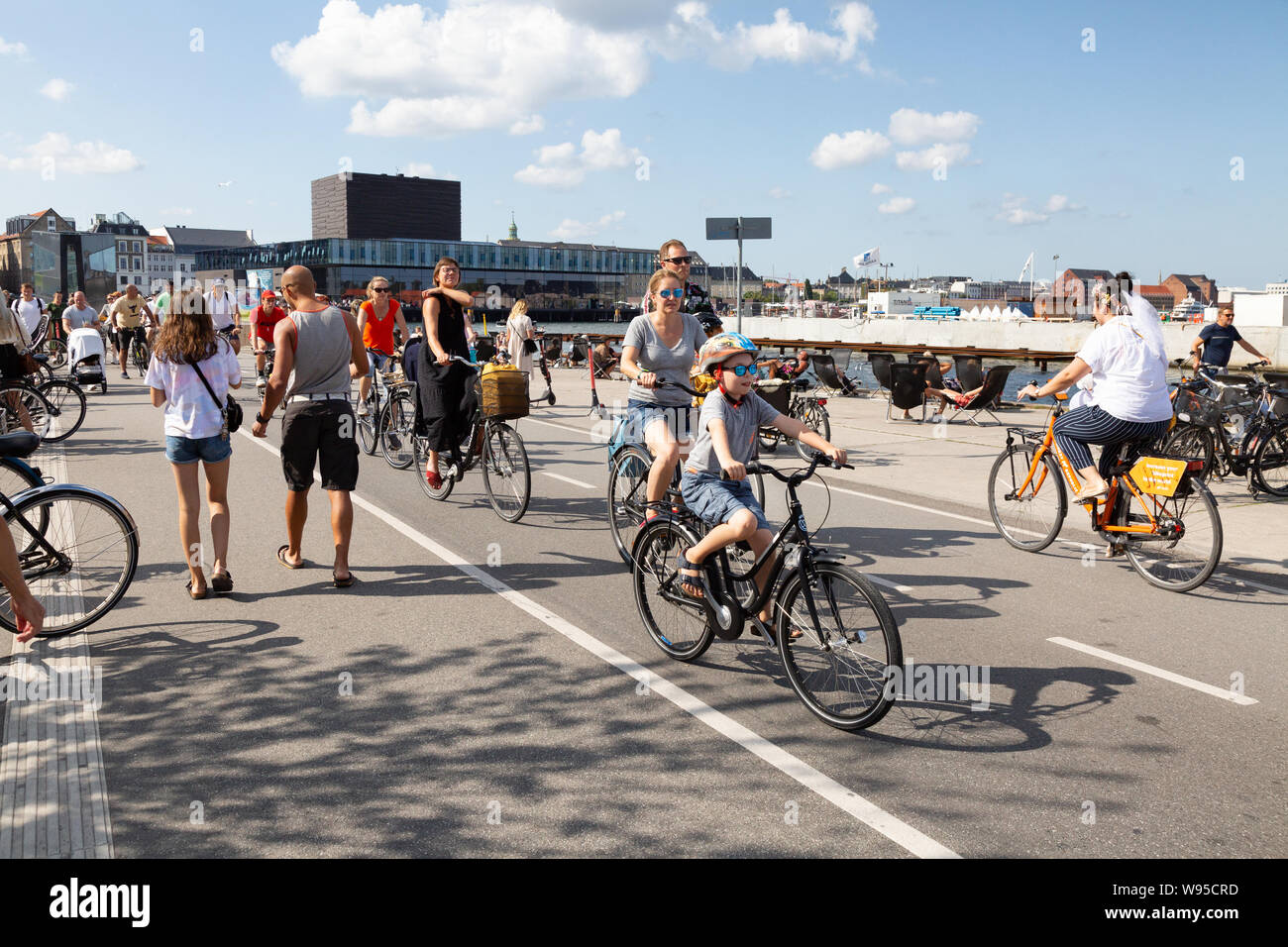Vélos Copenhague - les gens à vélo sur une piste cyclable, Inderhavnsbroen bridge, le centre-ville de Copenhague, Danemark Copenhague Scandinavie Europe Banque D'Images