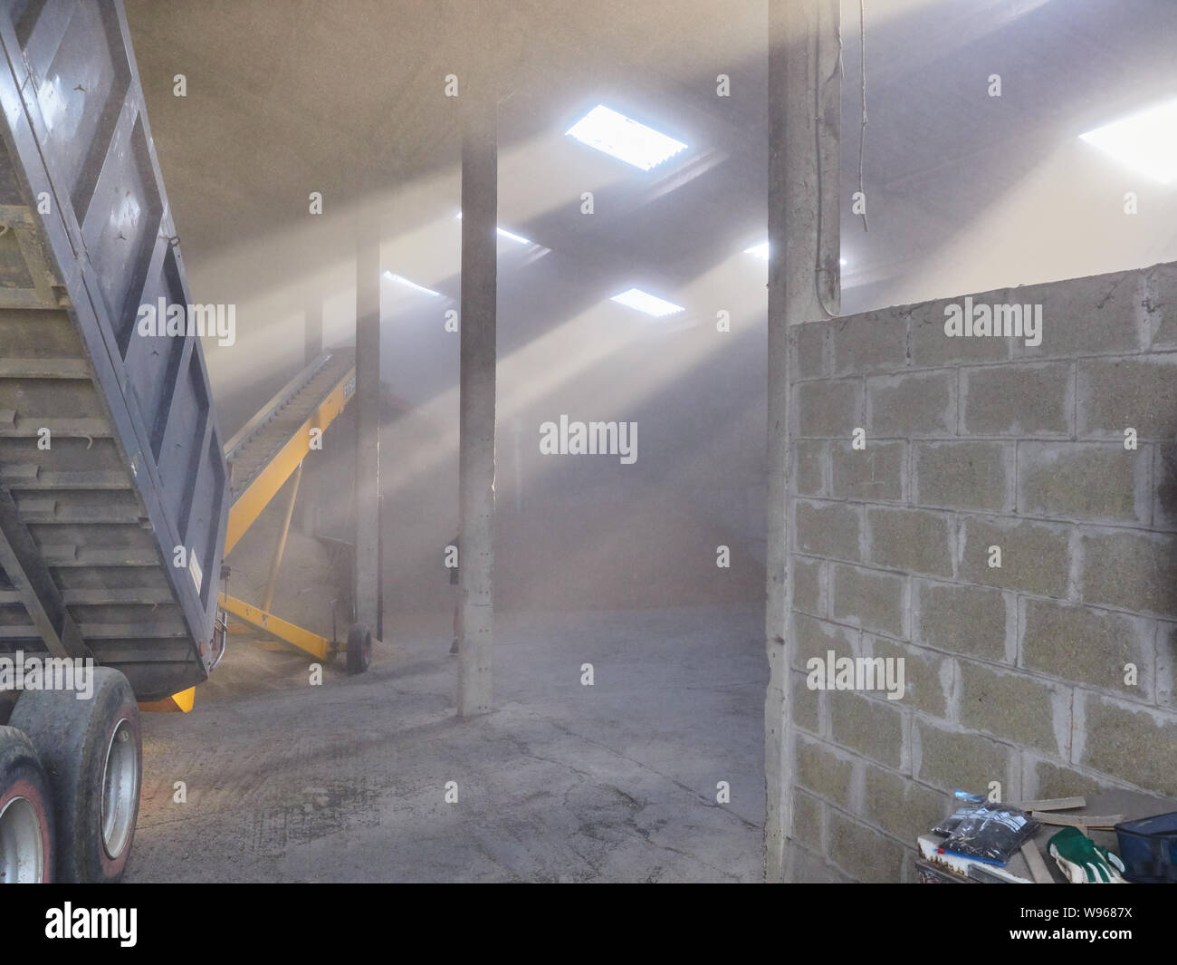 L'orge de brasserie de printemps étant chargé dans un hangar poussiéreux via un ascenseur Fyson avec les rayons de lumière qui brillait à travers la poussière Banque D'Images