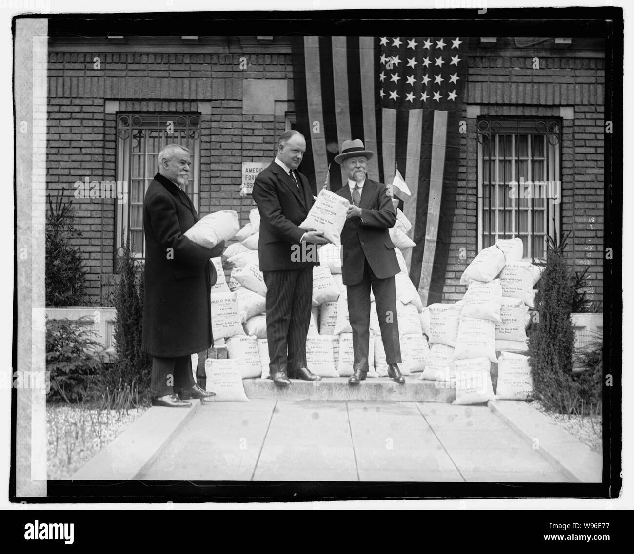 Am. Histoire de Graines forestières Banque D'Images