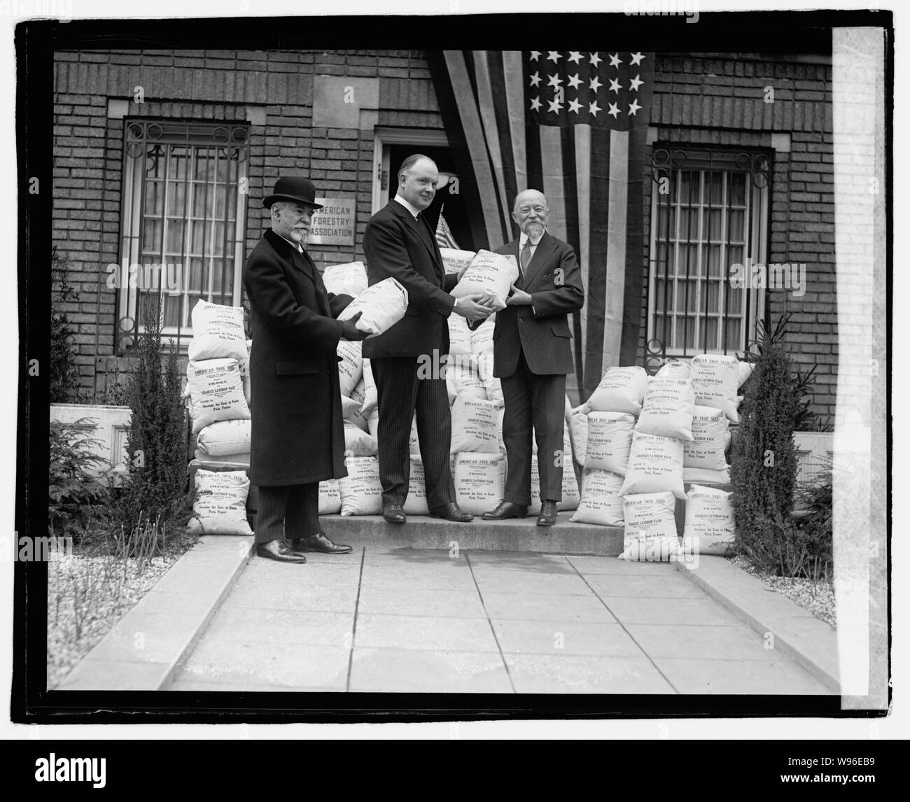 Am. Histoire de semences forestières, 4/6/22 Banque D'Images