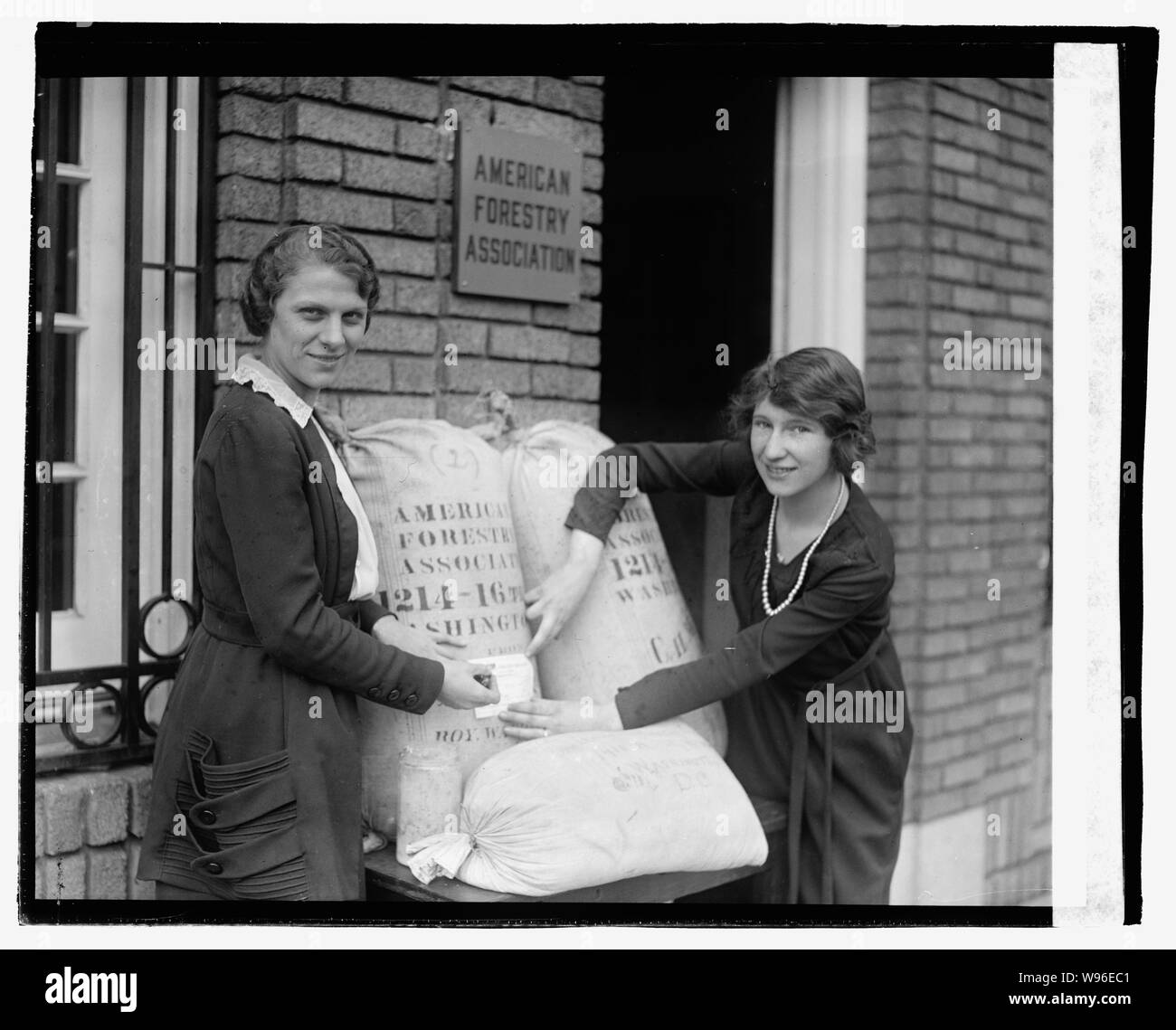 Am. La foresterie Assn., 23/12/20 Banque D'Images