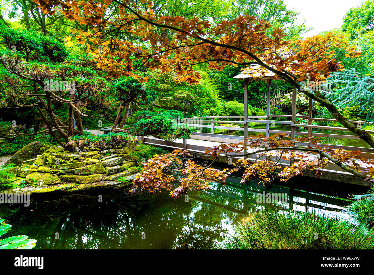 L'étang de jardin japonais et de ponts à St Mawgan, Cornwall, UK Banque D'Images