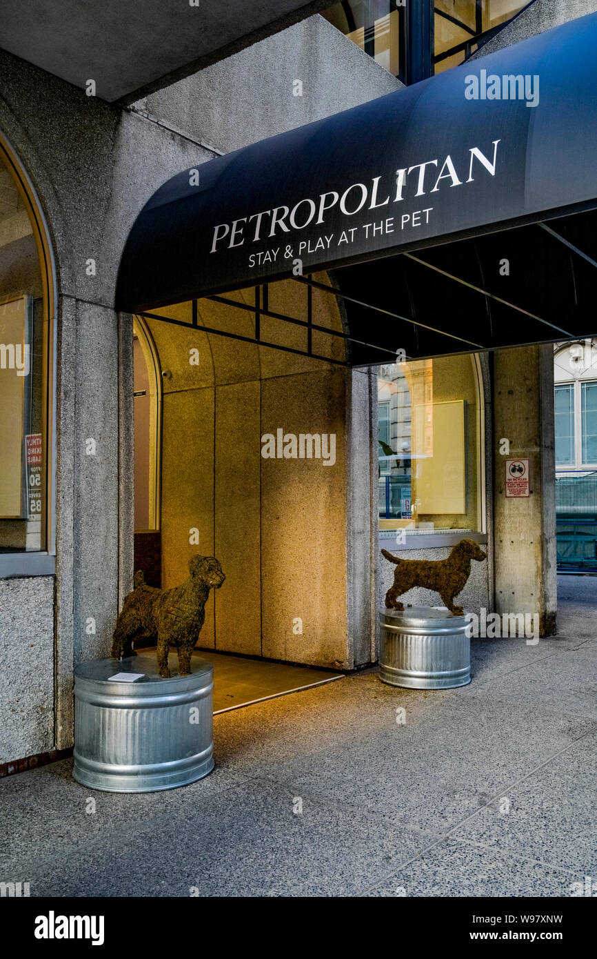 Petropolitan Hôtel Animal, chien, chat, l'embarquement, Calgary, Alberta, Canada Banque D'Images