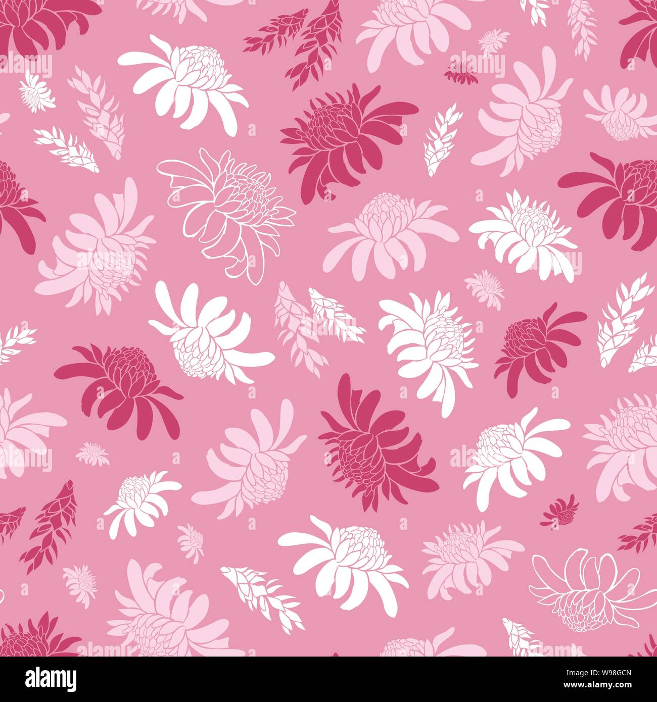 Rose vecteur modèle transparent avec des fleurs de gingembre torche tropical. Convient pour le textile, papier d'emballage et papier peint. Illustration de Vecteur