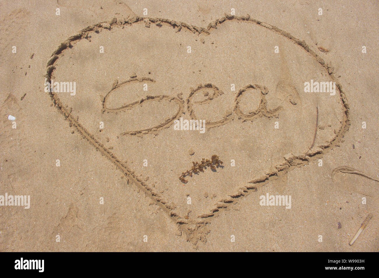 L'écriture dans l'amour de la mer sur la mer du sable blanc de forme Banque D'Images