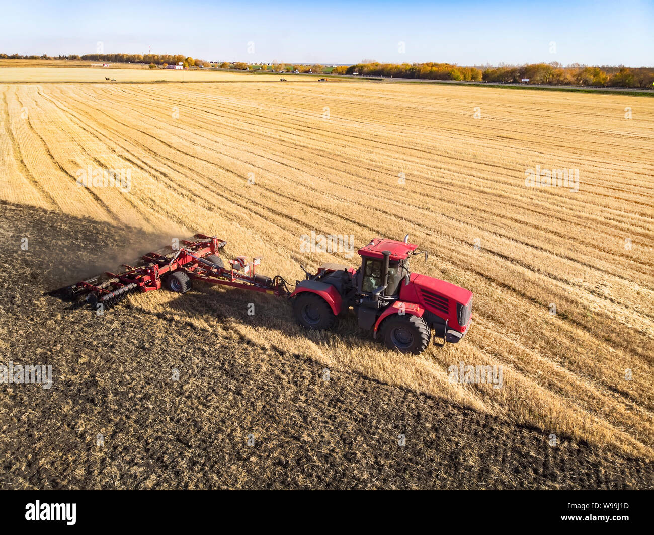 La récolte de blé en été. L'un rouge harvester travaillant dans le domaine. Vue de dessus. de la fenaison, récolte de foin. Banque D'Images
