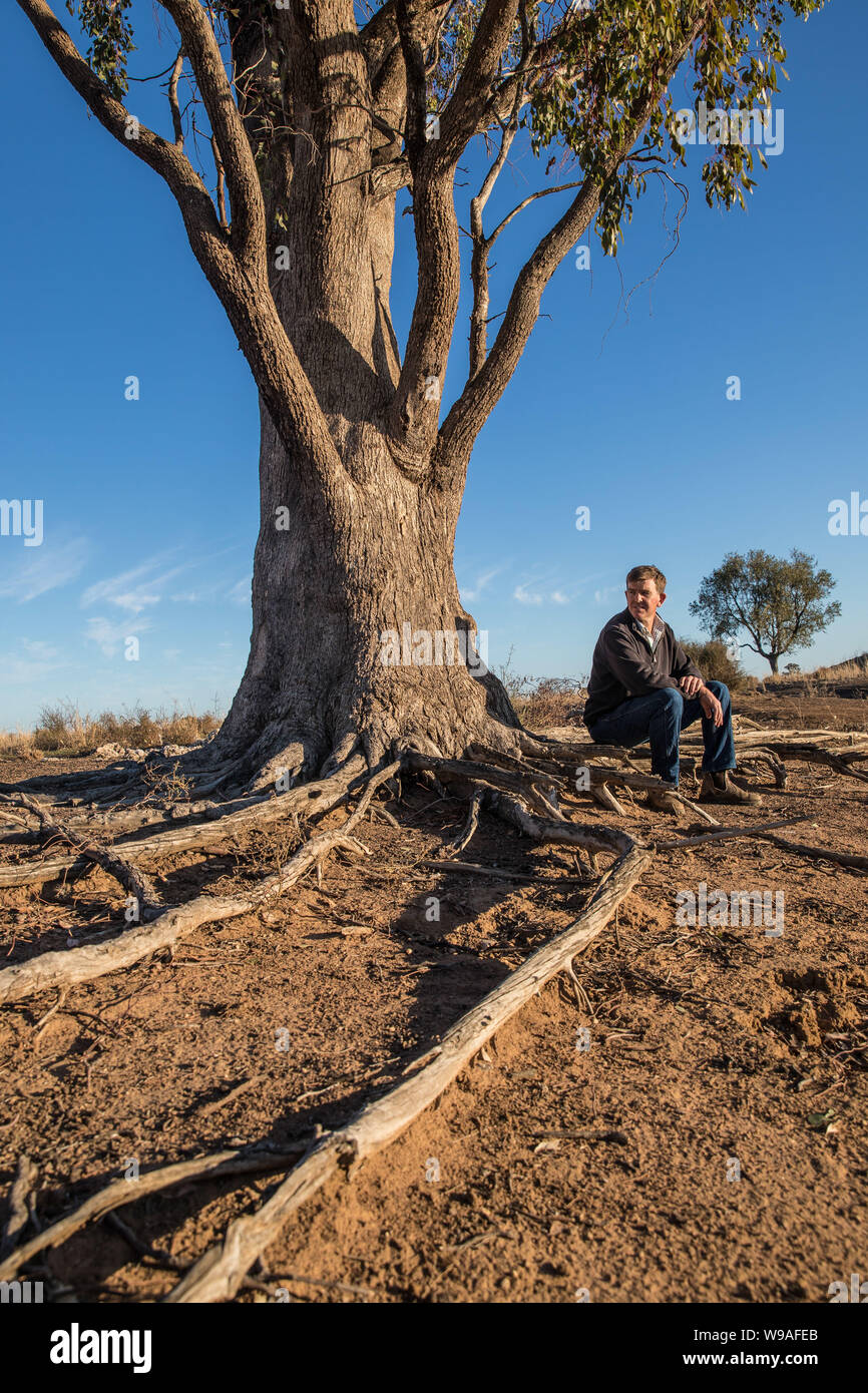 Farmer James Hamilton sur sa ferme à la sécheresse Narromine, Nouvelle Galles du Sud. Banque D'Images
