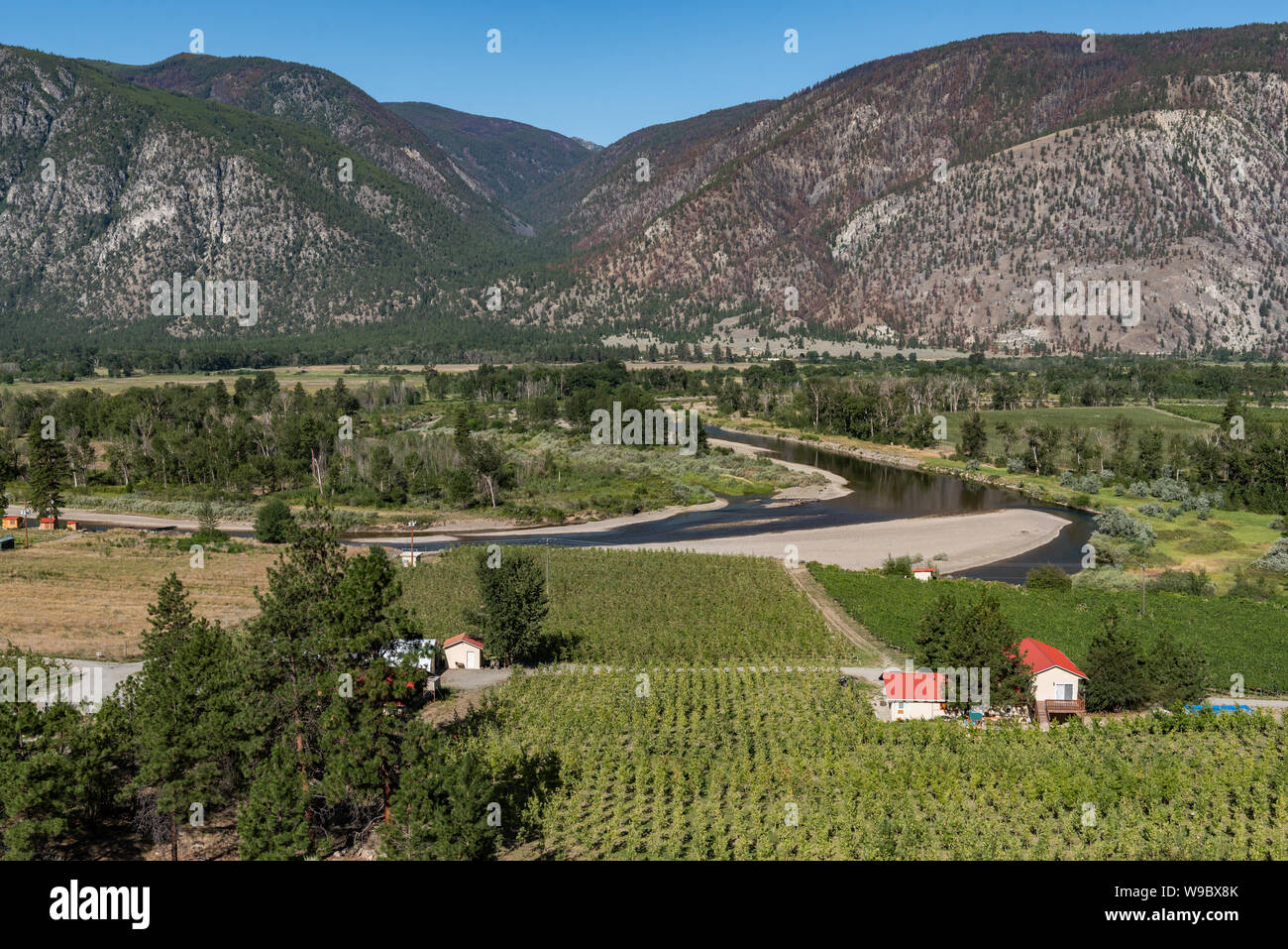Vignobles dans la vallée de Similkameen, British Columbia, Canada Banque D'Images