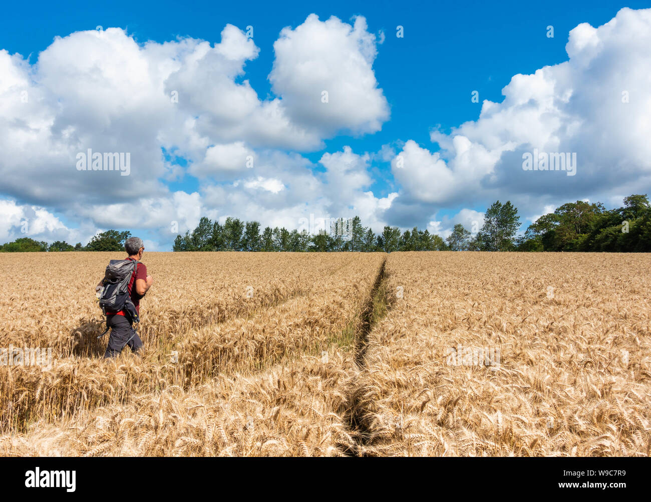 Billingham, Angleterre du Nord-Est, Royaume-Uni. 13 août 2019. Météo : avec plus de pluie prévue tout au long de la semaine, un randonneur en Billingham exploite au maximum les temps calme et ensoleillé mardi. Credit : ALAN DAWSON/Alamy Live News Banque D'Images