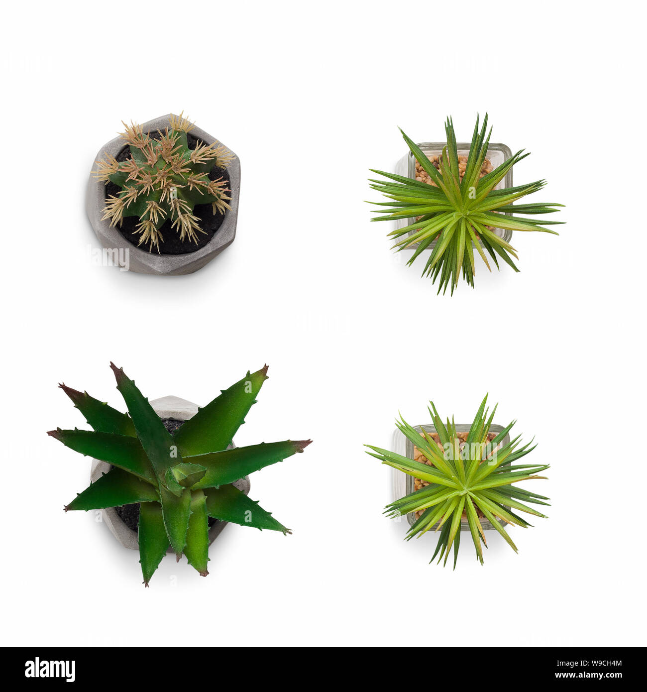 Cactus artificiels plantes en pots isolated on white Banque D'Images