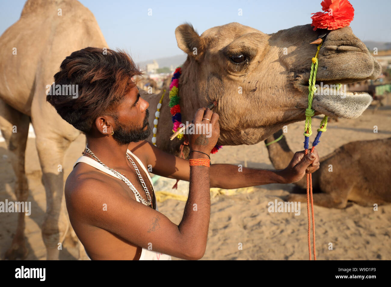 Rabari camel herder au chameau de Pushkar, Rajasthan équitable. La foire est la plus grande foire de chameaux en Inde. Banque D'Images