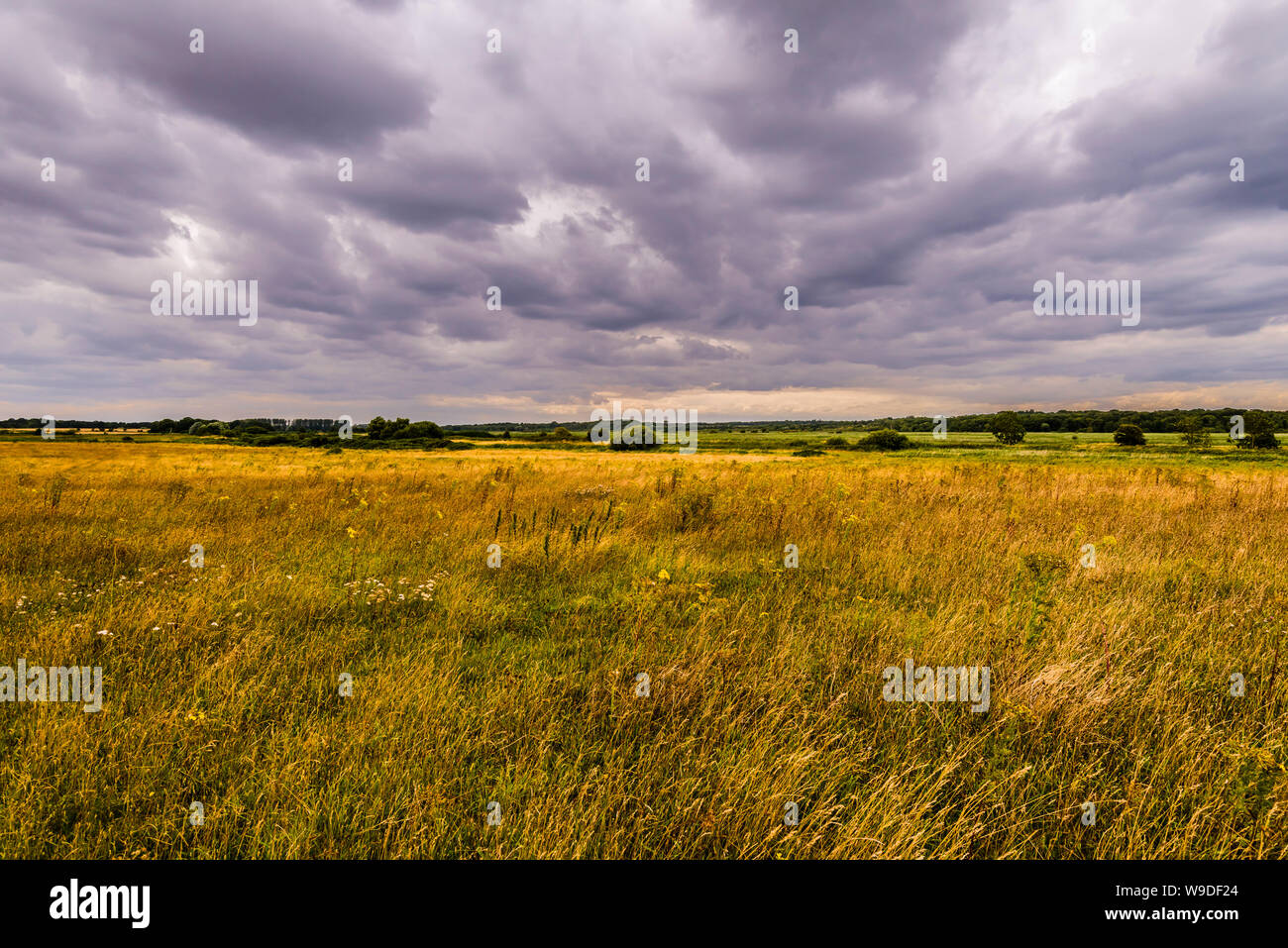 Vue panoramique sur le paysage à Minsmere, Suffolk, UK Banque D'Images