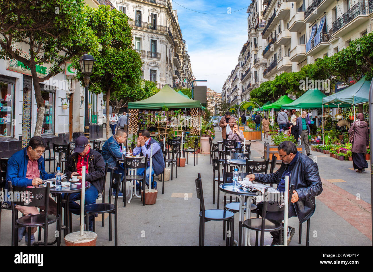 L'Algérie, Alger, Place de la grande Poste, terrasse sur la rue Photo Stock  - Alamy