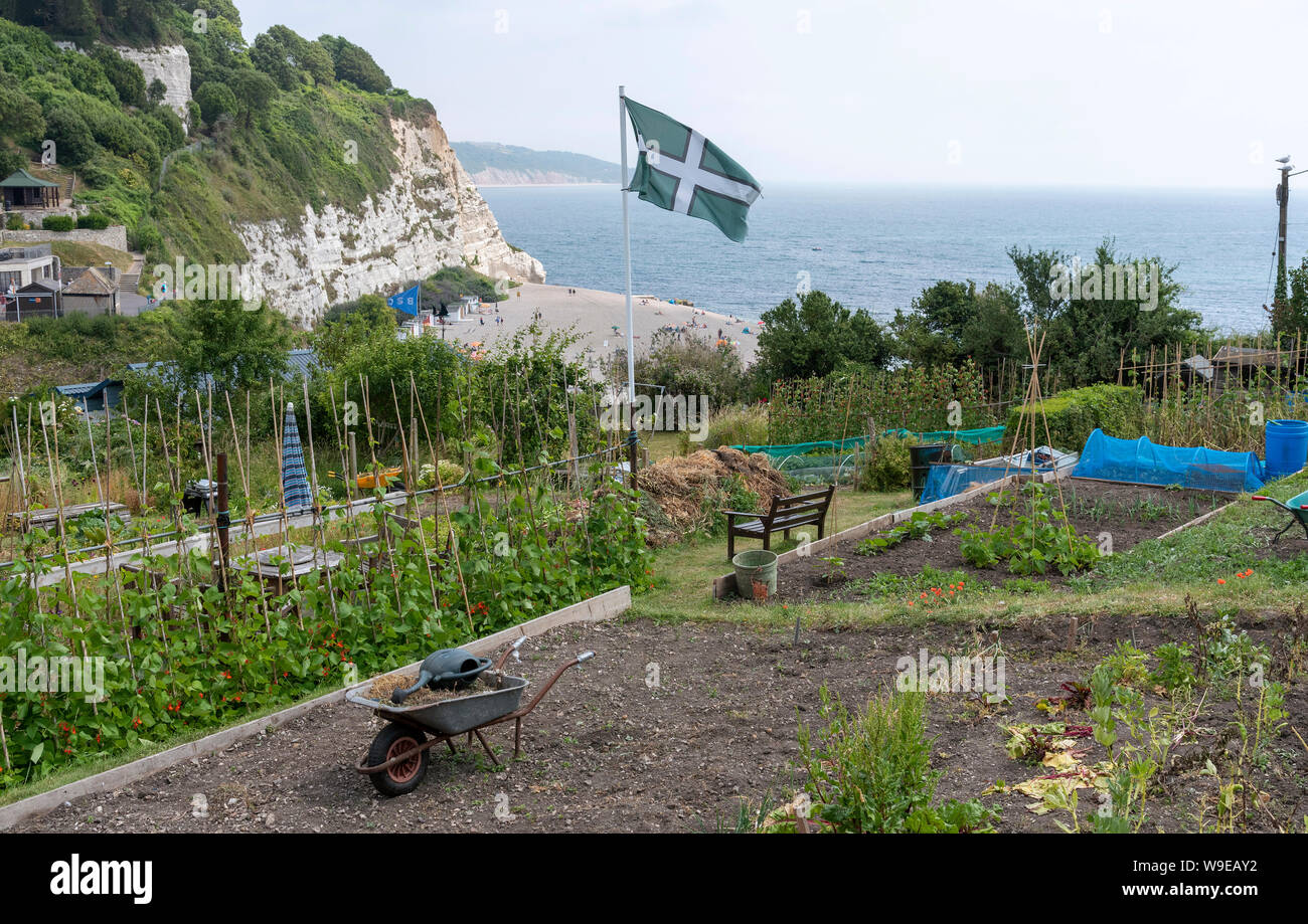 La bière, Seaton, Devon, Angleterre, Royaume-Uni. Juillet 2019. Les allocations de la culture de fruits et légumes sur la falaise au-dessus de la station balnéaire de la bière. Le pavillon Devon Banque D'Images