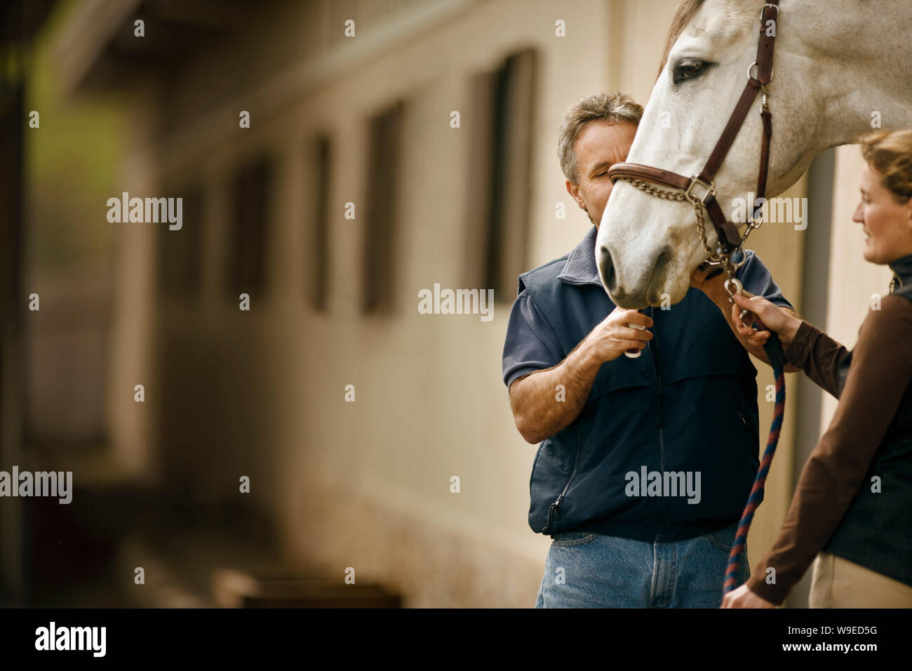 Deux personnes tenant les rênes d'un cheval. Banque D'Images