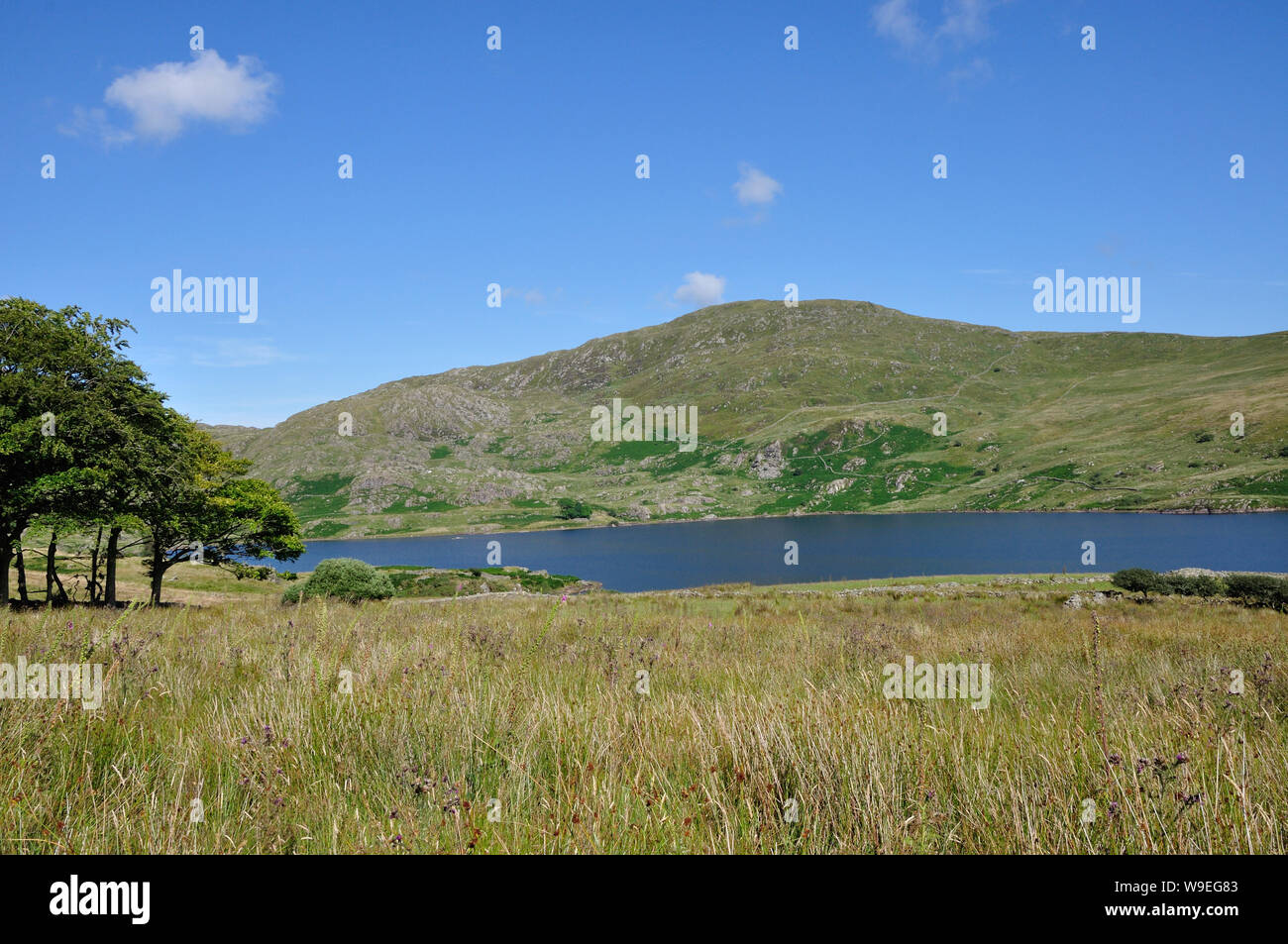 Der Voir Llyn Cwmystradllyn in den Bergen von Wales in der Nähe von Porthmadog Banque D'Images