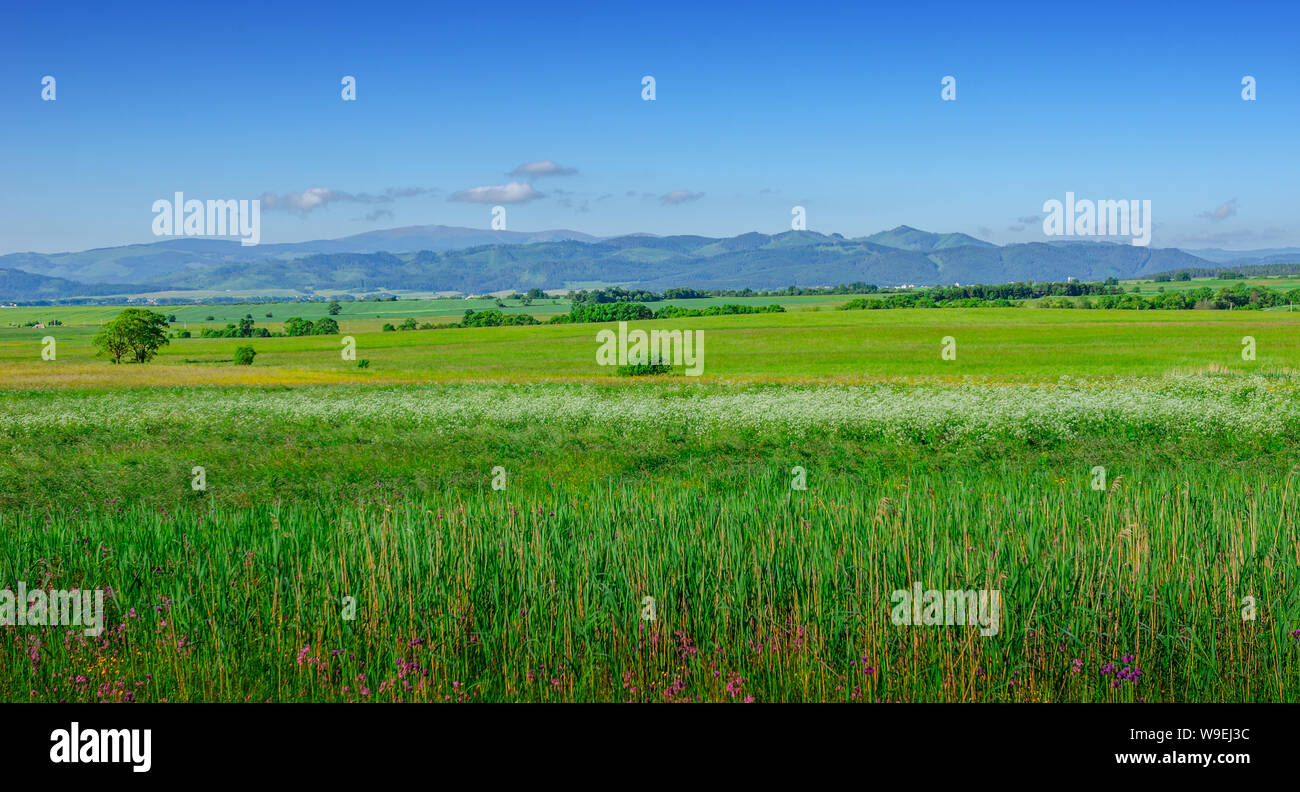 Tatras, en Slovaquie. Paysage pittoresque d'une chaîne de montagnes un jour d'été. Banque D'Images