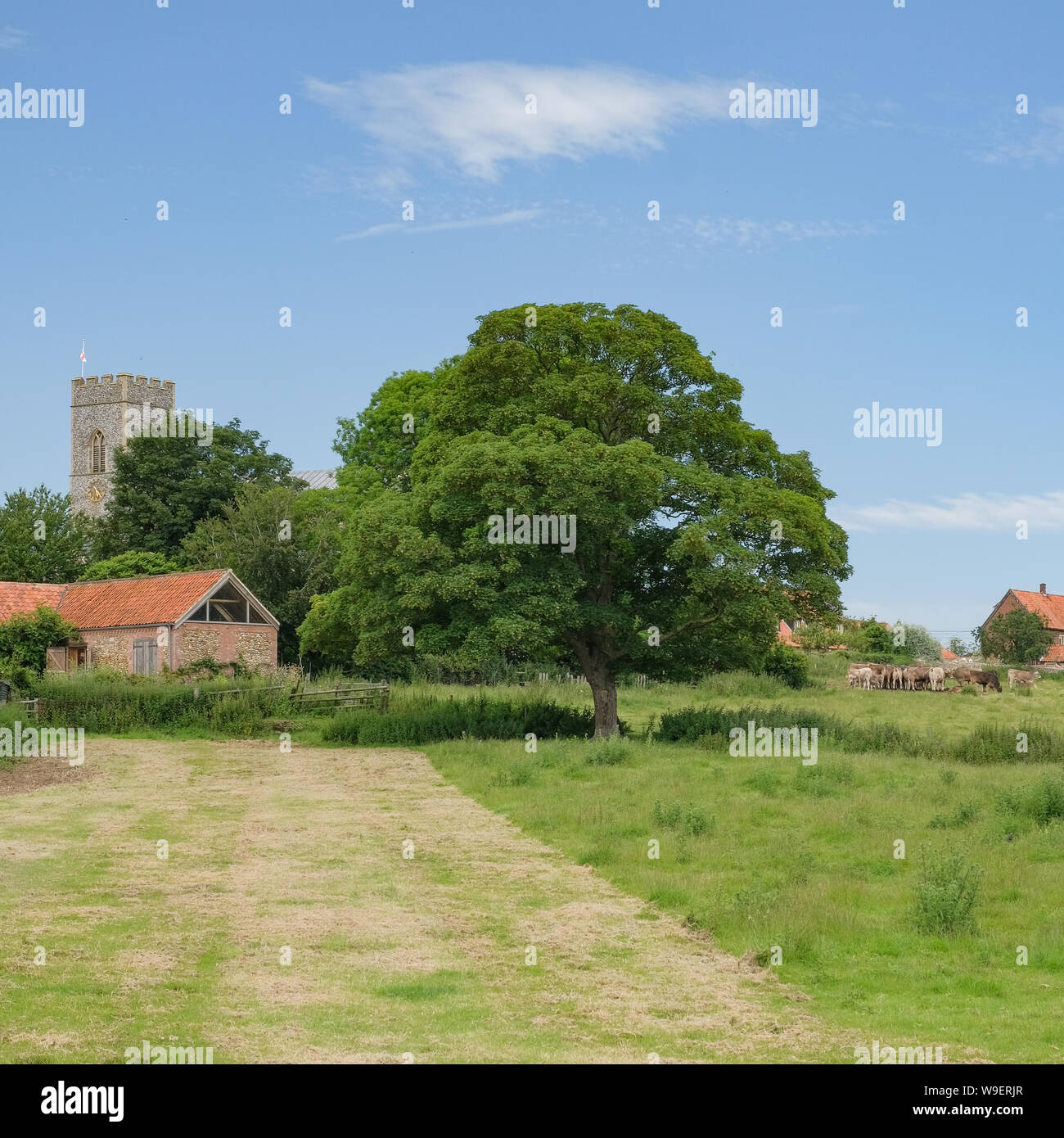 All Saints, Wighton, Norfolk Banque D'Images