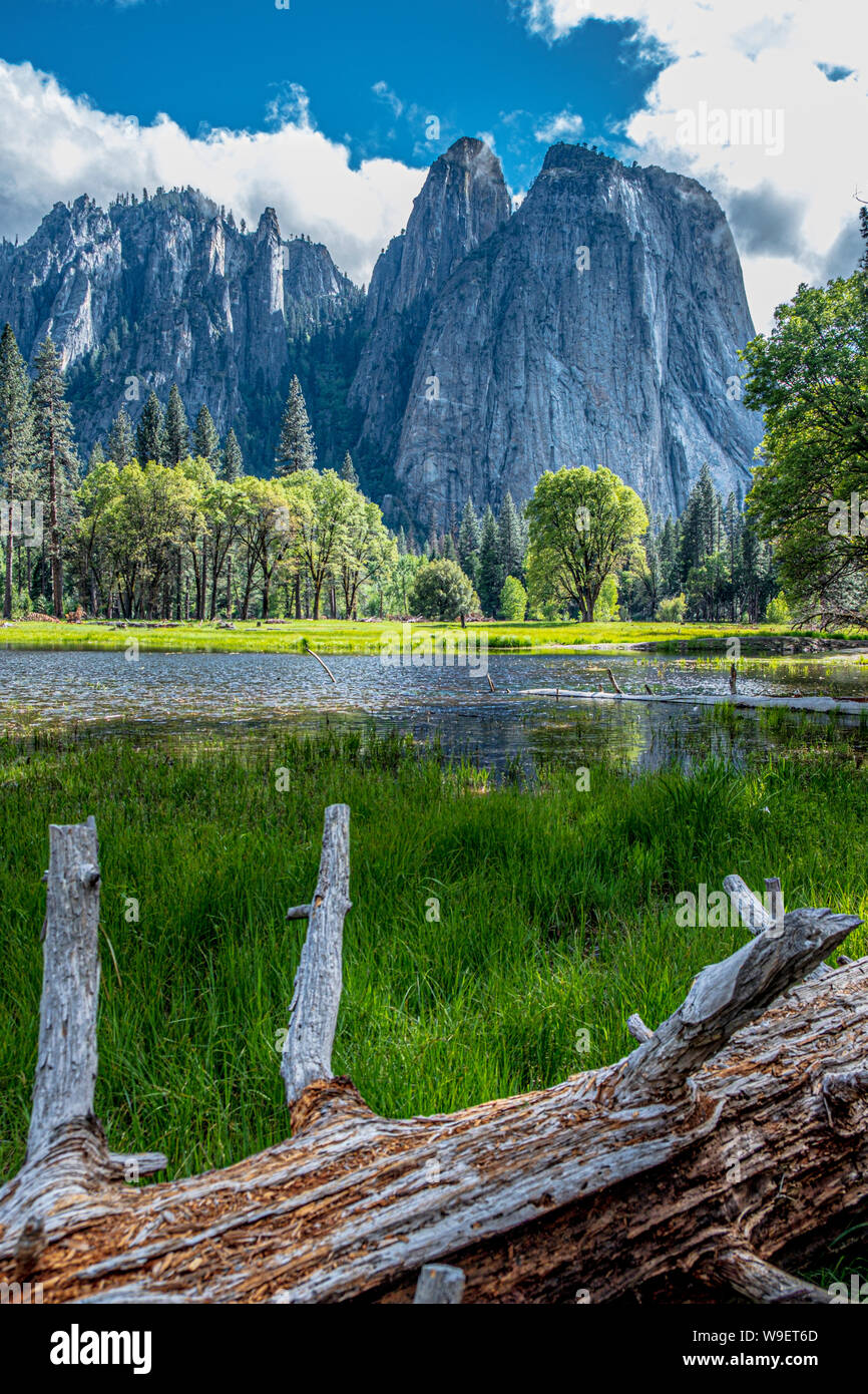 Belle prairie dans le Parc National de Yosemite en Californie, USA Banque D'Images