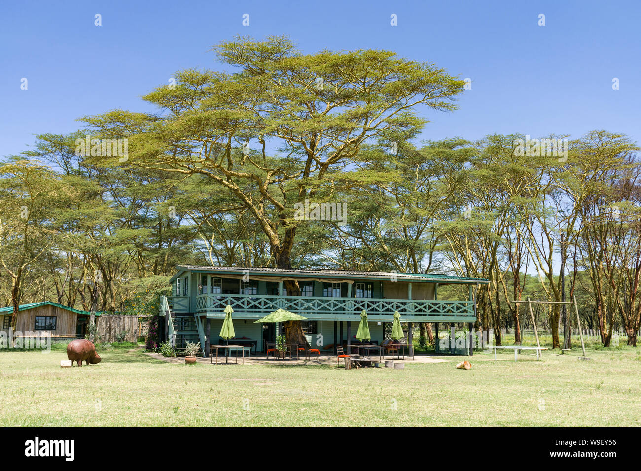 Sanctuaire en bois ferme restaurant sous les arbres de la fièvre, le lac Naivasha, Kenya Banque D'Images
