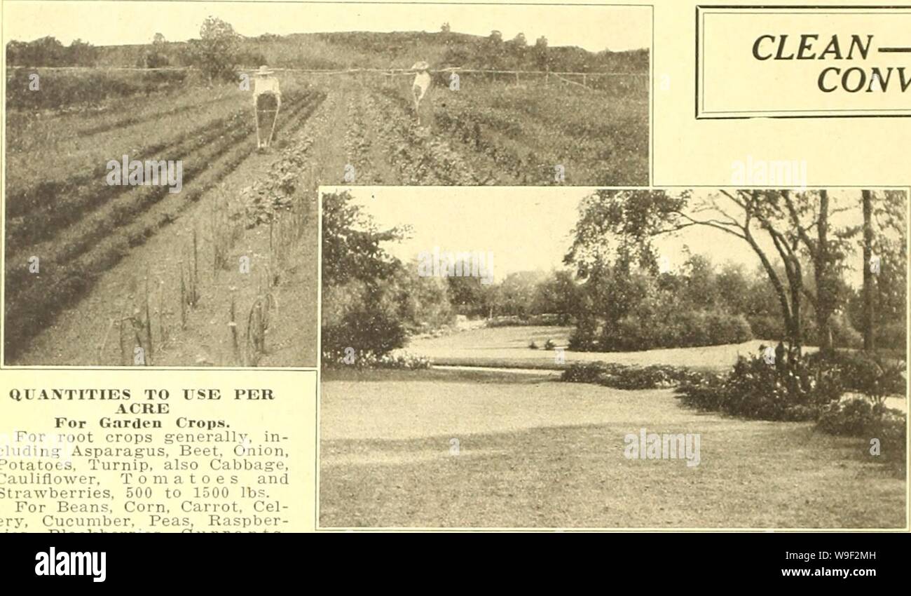 Image d'archive à partir de la page 11 de Currie's Farm et jardin annuel. Currie's Farm et le jardin de printemps annuel : 1920 45e année curriesfarmgarde19dev. 3 Année : 1920 ( CURRIE BROTHERS COMPANY, Milwaukee, WIS. Currie's complete de l'engrais pour le jardin et pelouse NETTOYER- aiANTITIES à quelques kilomètres d'ODEUR ACRE pour jardin récolte !. Pour les plantes-racines en général, y compris Asparag'us, betterave, oignon, pommes de terre, navet, Chou, Chou-fleur aussi. Les tomates et les fraises, 500 à 1500 livres pour Bean.s, maïs, carotte, cel- tions, concombre, pois, Raspber- ries, mûres, Groseilles, Raisin, etc., 350 livres à la SOO F.VX Banque D'Images