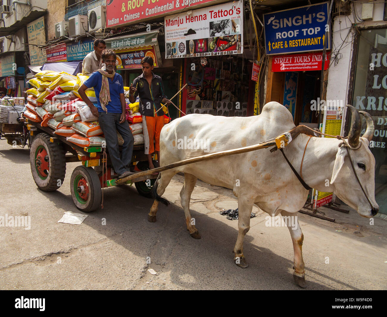 Scène de rue à Main Bazar Paharganj, chariot tiré par un taureau utilisé pour transpor grain, New Delhi, Inde Banque D'Images