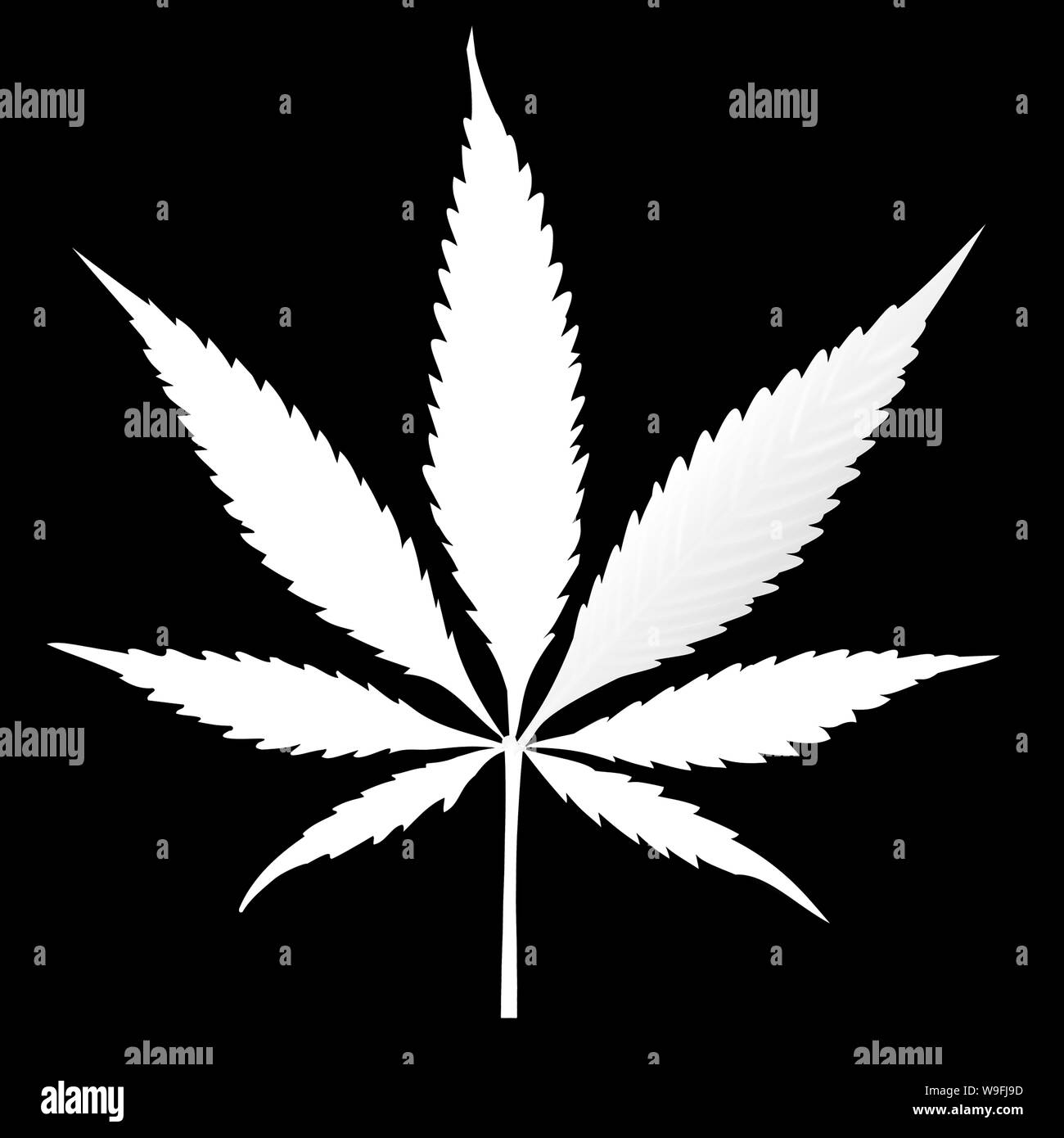 Feuilles de cannabis en noir et blanc isolé sur fond blanc de la marijuana médicale croissante cbd Banque D'Images