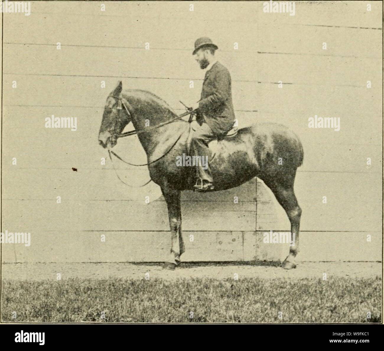 Image d'archive à partir de la page 50 de trottoir, snaffle et stimuler . Trottoir, snaffle et stimuler : une méthode de formation de jeunes chevaux pour la cavalerie, et pour une utilisation générale sous la selle curbsnafflespurm00ande Année : 1894 ( alimentant la collecte et 45 sur les forces et les poids des extrémités de l'avant-main et de l'arrière-quarts, mais il doit savoir comment corriger les défauts naturels de l'animal, de sorte qu'il peut facilement produire ce que la POSITION DE LA TÊTE. qu'il désire. Il doit réduire les effets de la conversion des pièces, et il faut renforcer les pouvoirs de l'affaiblissement des pièces. Si le cheval est élevé et Banque D'Images