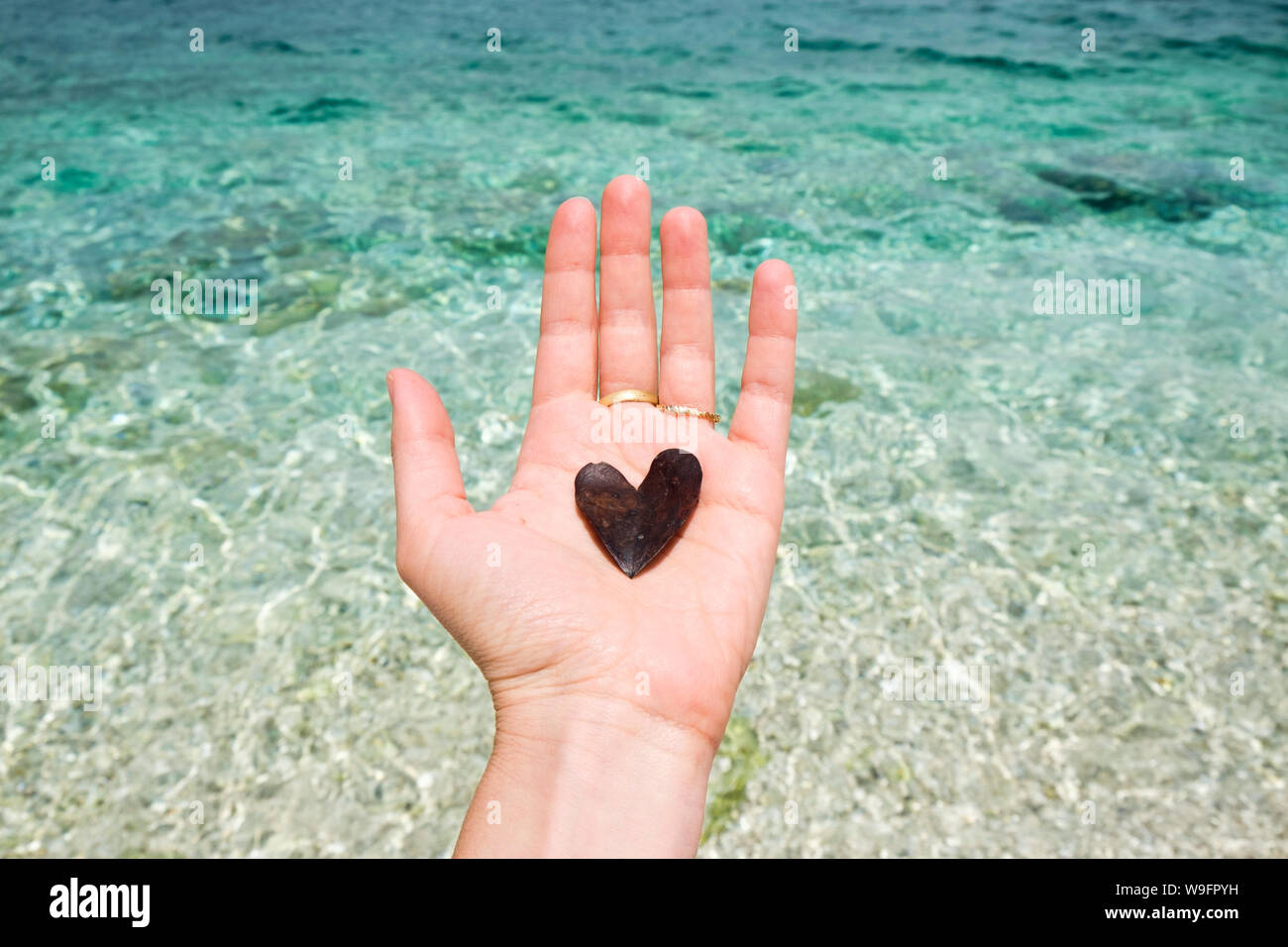 Une main tient une feuille en forme de cœur en face de l'eau turquoise de la mer Ionienne à Kefalonia, Grèce. Banque D'Images