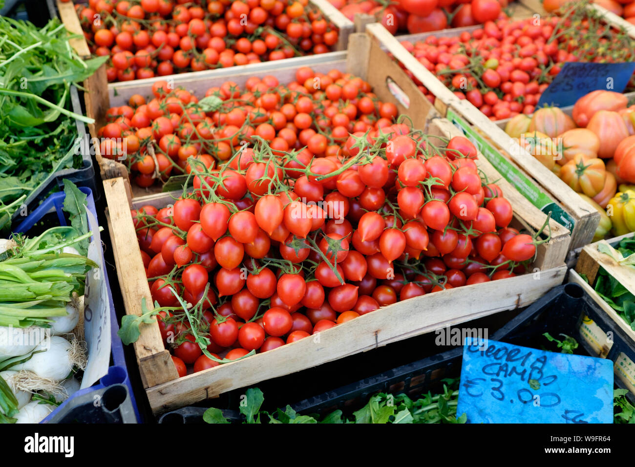 Des tomates pour la vente à un décrochage du marché de l'agriculteur dans le Trastevere, Rome, Italie. Banque D'Images