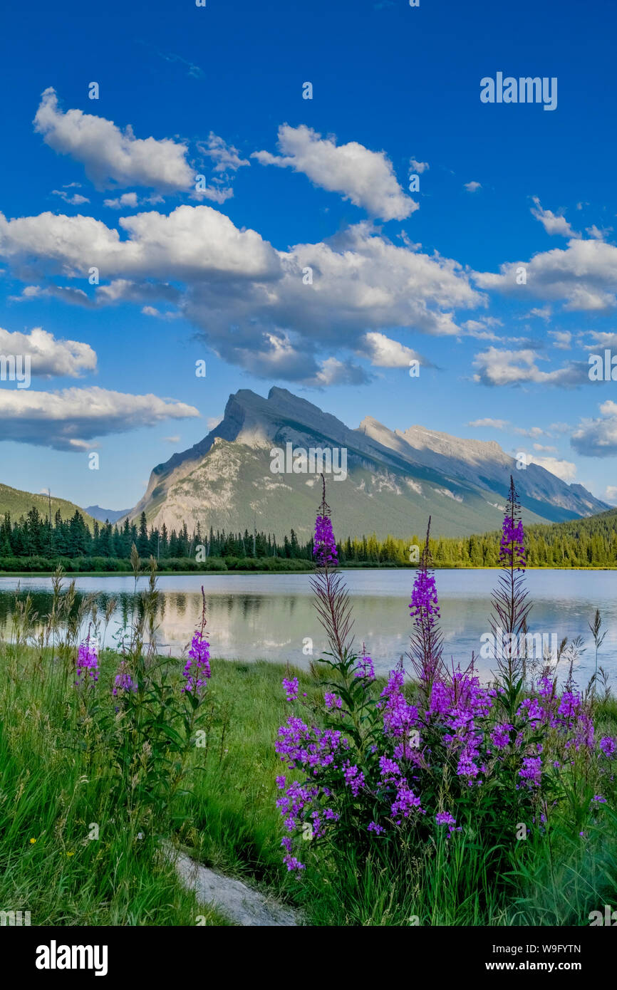 Le parc national Banff, Alberta, Canada Banque D'Images