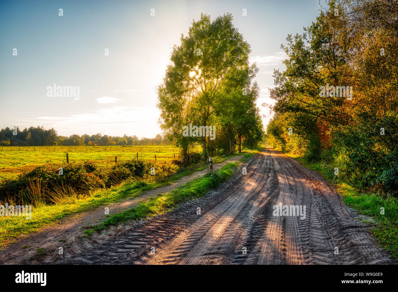 Un paysage dans la Neudorfer Moor près de Uplengen Banque D'Images