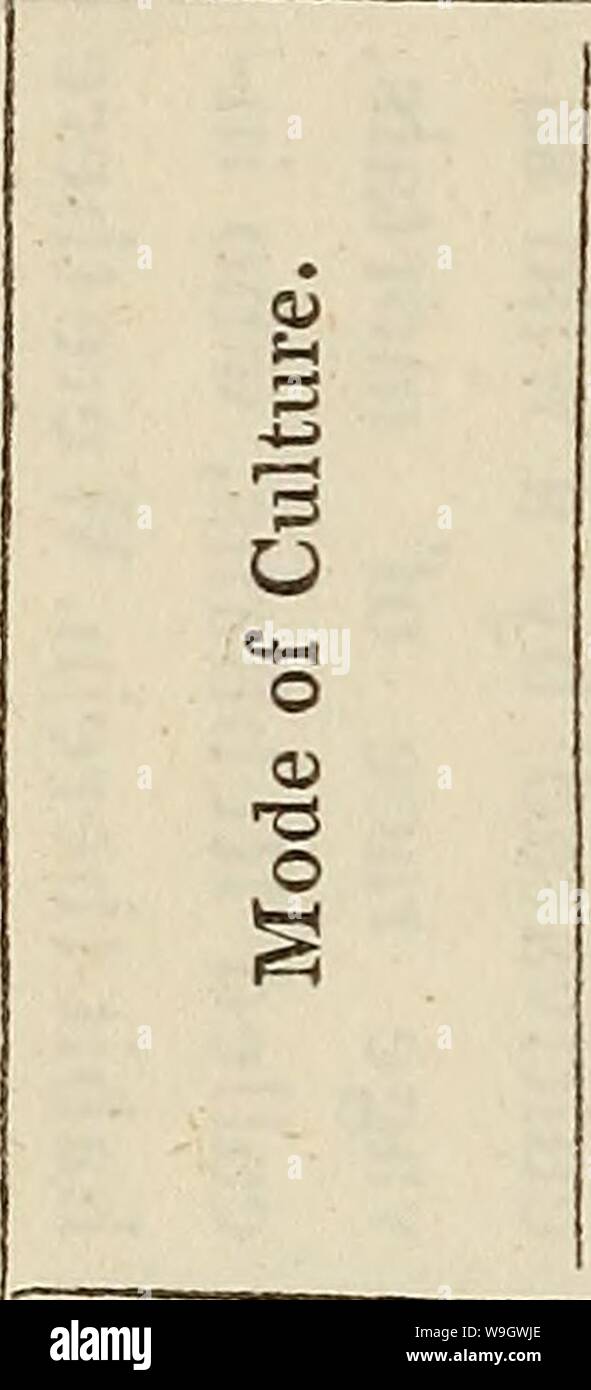Image d'archive à partir de la page 375 de la culture et la fabrication du coton. La culture et la fabrication de la laine de coton .. culturemanufactu00orient Année : 1836 ( 330 COTON-laine. L'annexe. 2 o C3 O TR S5- O S O a. &Gt ;&gt ; CL, o (U F O S 0 CD) -a- o o o . c o U G CD 3 a. s. a ; .t j2 auto-duaux &gt ; -c'est le cu G .ti s -J BTE) C C3 G S O cS 3  =3 O -o o 4-1 4J O) O Jl S a- G Q CO CU 0) &gt;je CO .ti 0) O -mer. 1,2 § Banque D'Images