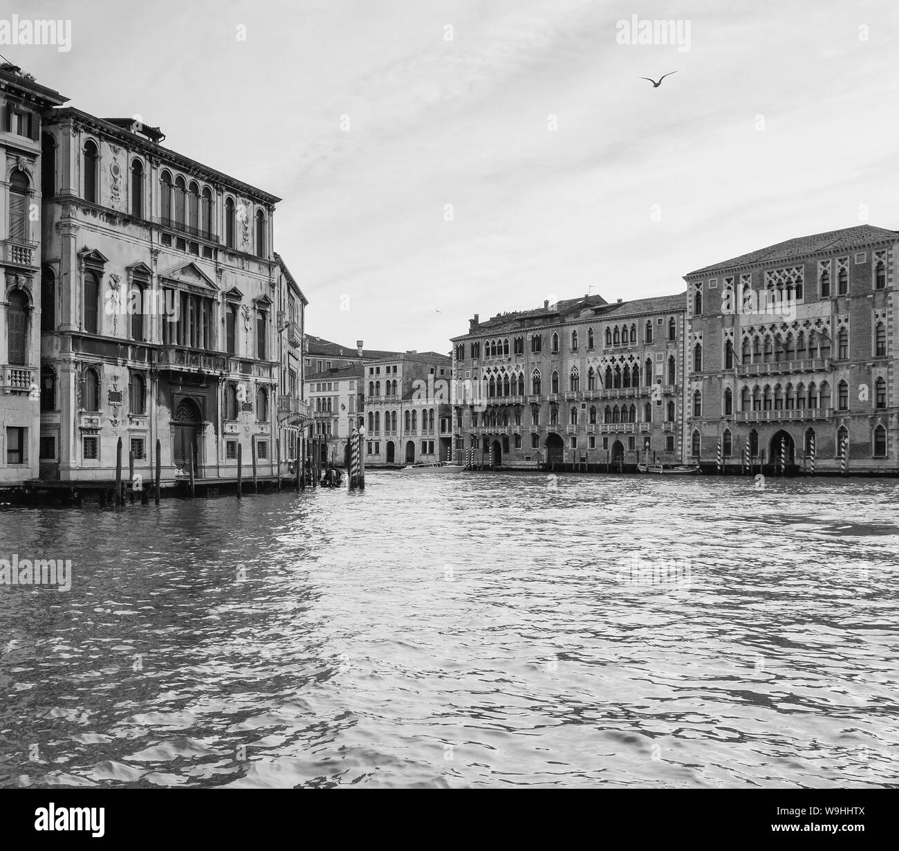 Il Canal Grande, le Grand Canal, Venise Banque D'Images