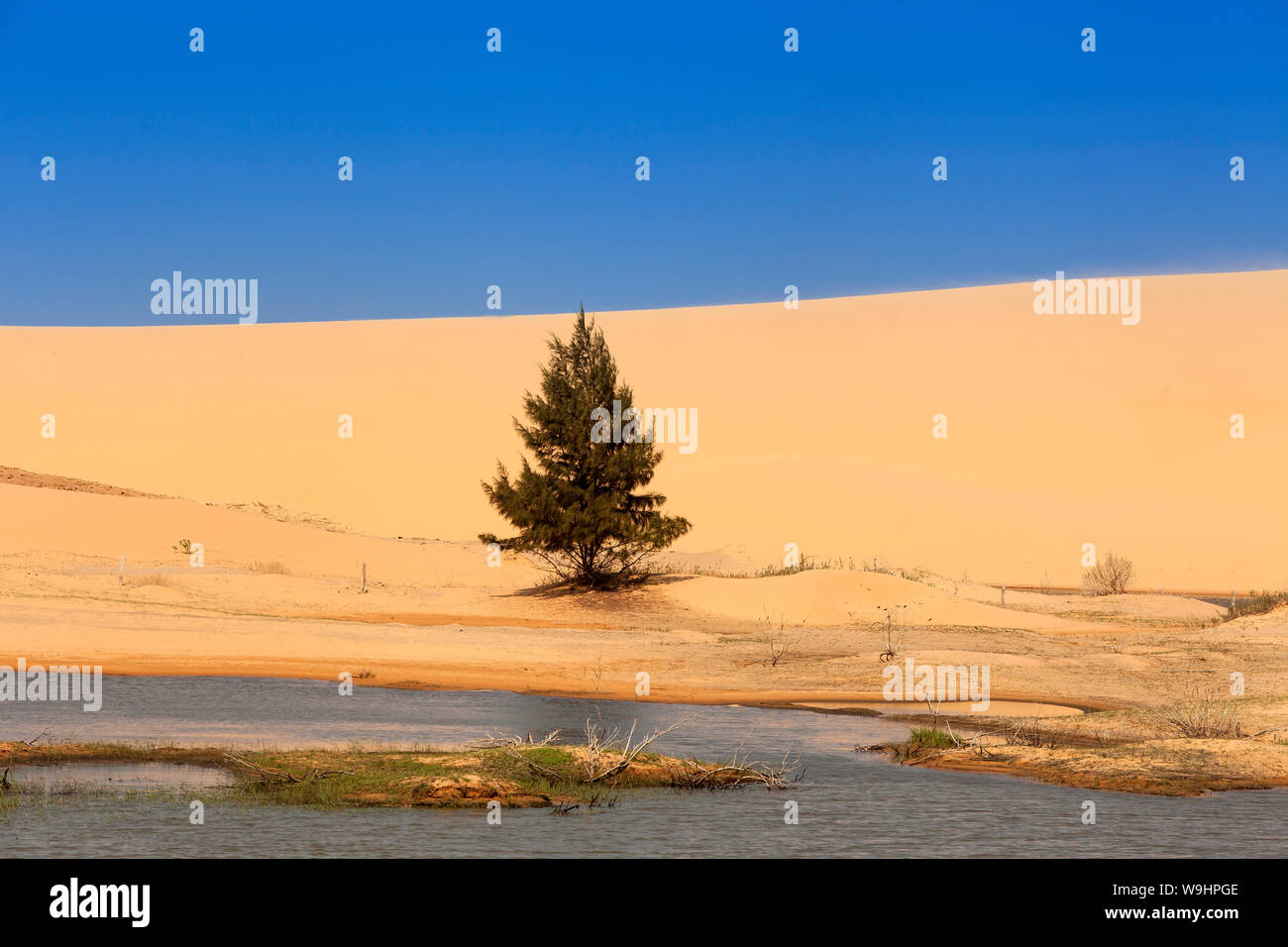 Dunes près de Phan Rang, Ninh Thuan, Vietnam, Asie, 30074612 Banque D'Images